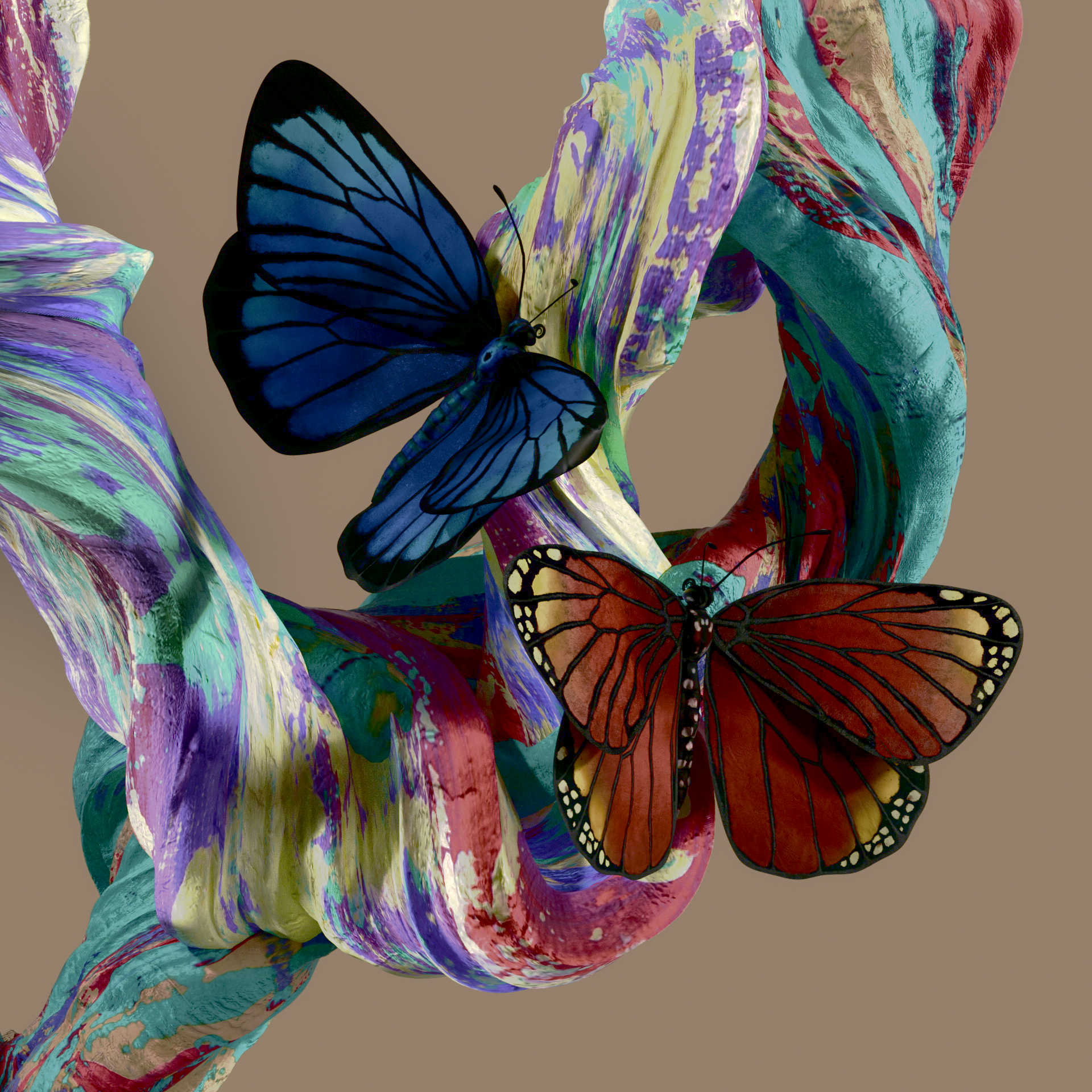 Butterfly and Feather